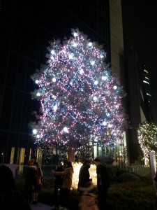☆ミッドランドのクリスマスツリー☆